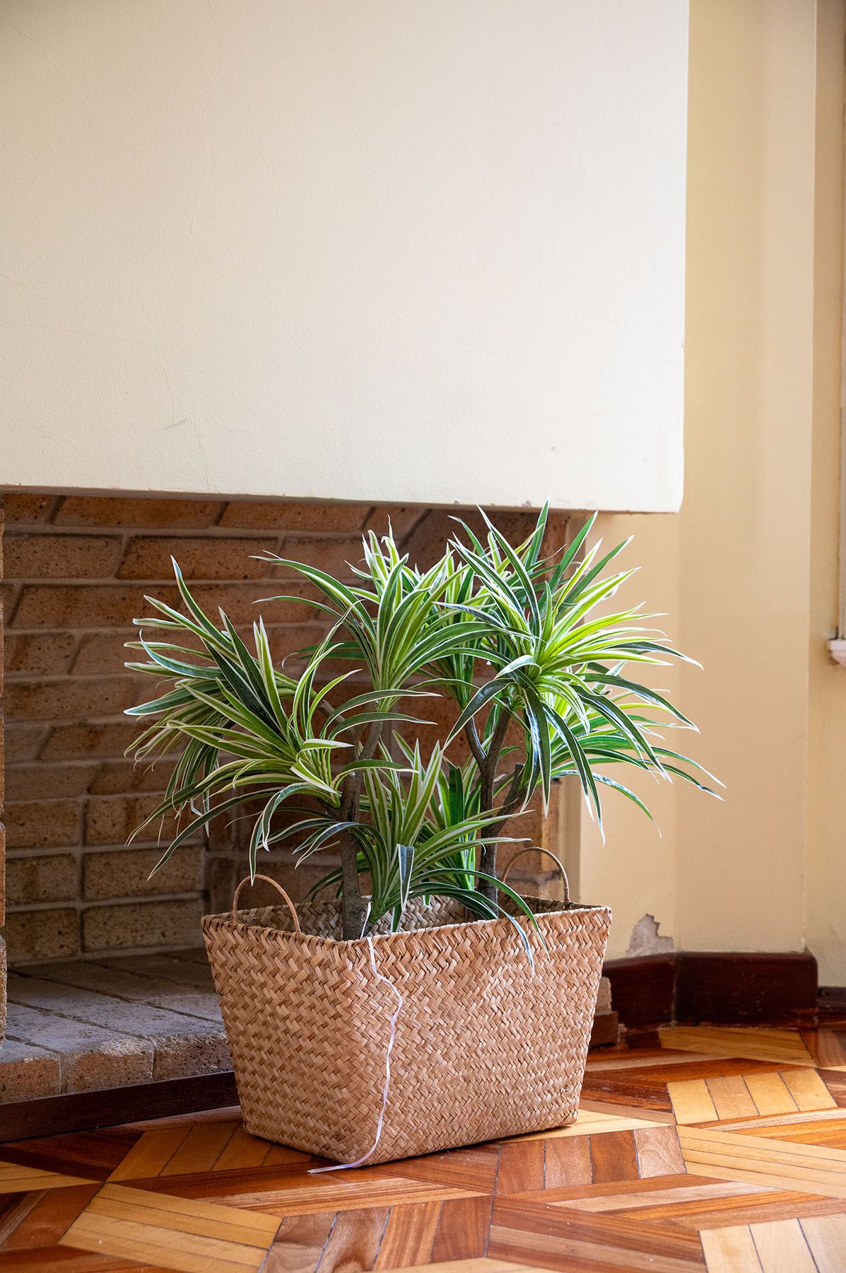 Detalle decorativo con planta junto a pared de ladrillo